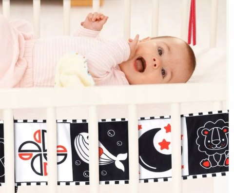 KSIĄŻECZKA SENSORYCZNA Kontrastowa Miękka Nauka Kształty Widzenia Dźwięki