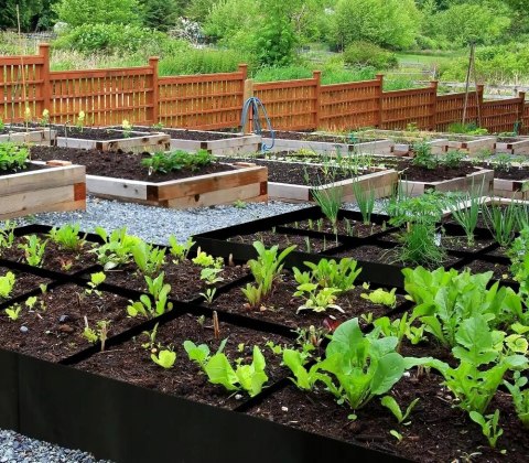 TORBA WOREK Do Uprawy SADZENIA Warzyw DONICZKA 180x90cm RĘKAWICE