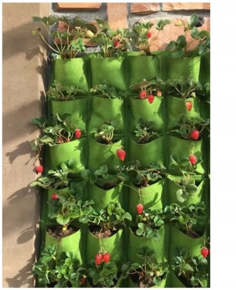 WISZĄCY Ogród DONICZKI NA Kwiaty Zioła Przyprawy 12 KIESZENI Filc 80x60cm